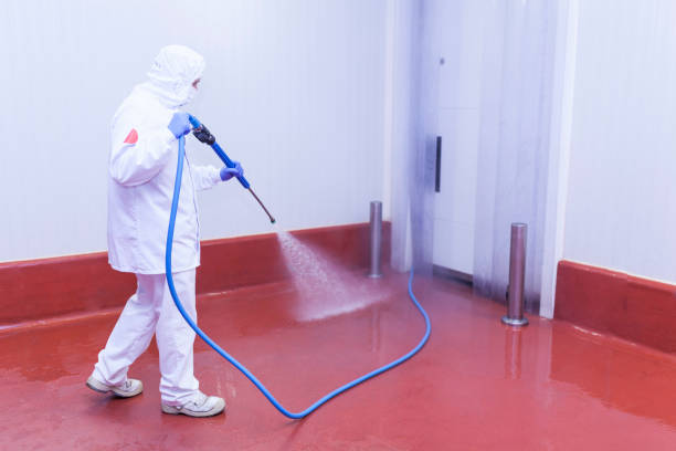 Best Driveway Pressure Washing  in Vineyard, CA